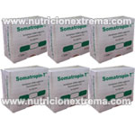 Somatropin - T 48ui Pack Especial 6 vial de 8ui